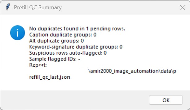 Prefill QC summary reports suspicious rows and duplicate checks before manual review opens.